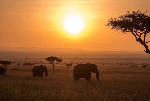 00-kenya-vs-tanzania-which-is-better-for-an-african-safari-BW-header1200px